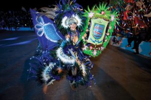 barcelos ornamental fish festival