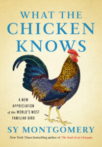 What the Chicken Knows book cover