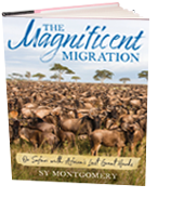 The Magnificent Migration: On Safari with Africa's Last Great Herds