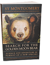 Search for the Golden Moon Bear