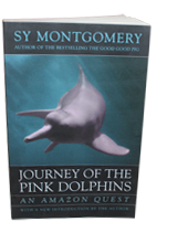 Journey of the Pink Dolphins