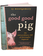 The Good Good Pig
