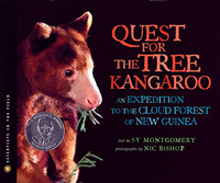 quest for the tree kangaroo