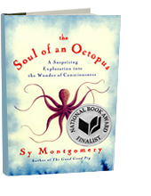 The Soul of an Octopus
